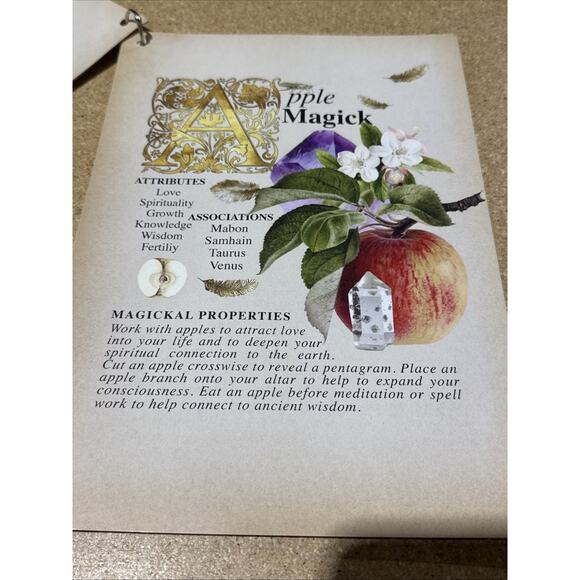 Secret Grimoire of Plant and Crystal Magick Handmade Ephemera Book - Picture 4 of 6